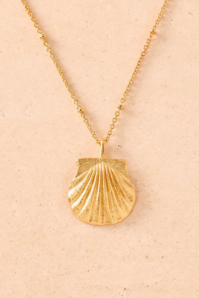 Sea Shell Necklace