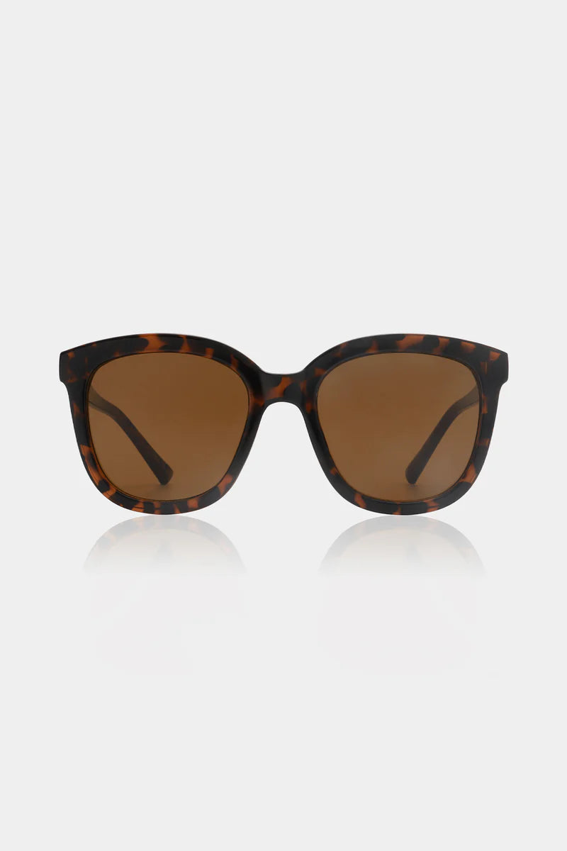 Billy Sunglasses in Tortoise