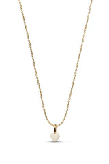 Amore Necklace in Daisy