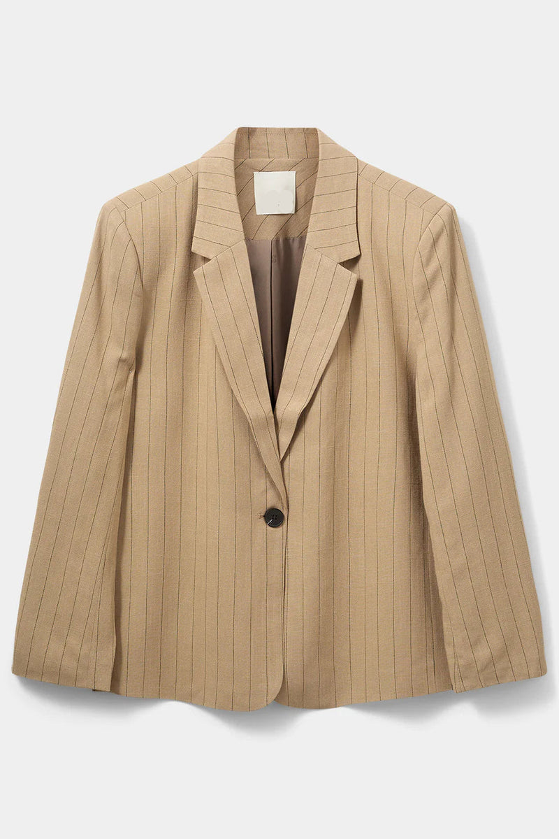 Striped Blazer in Striped Brown