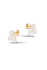 Mae Studs