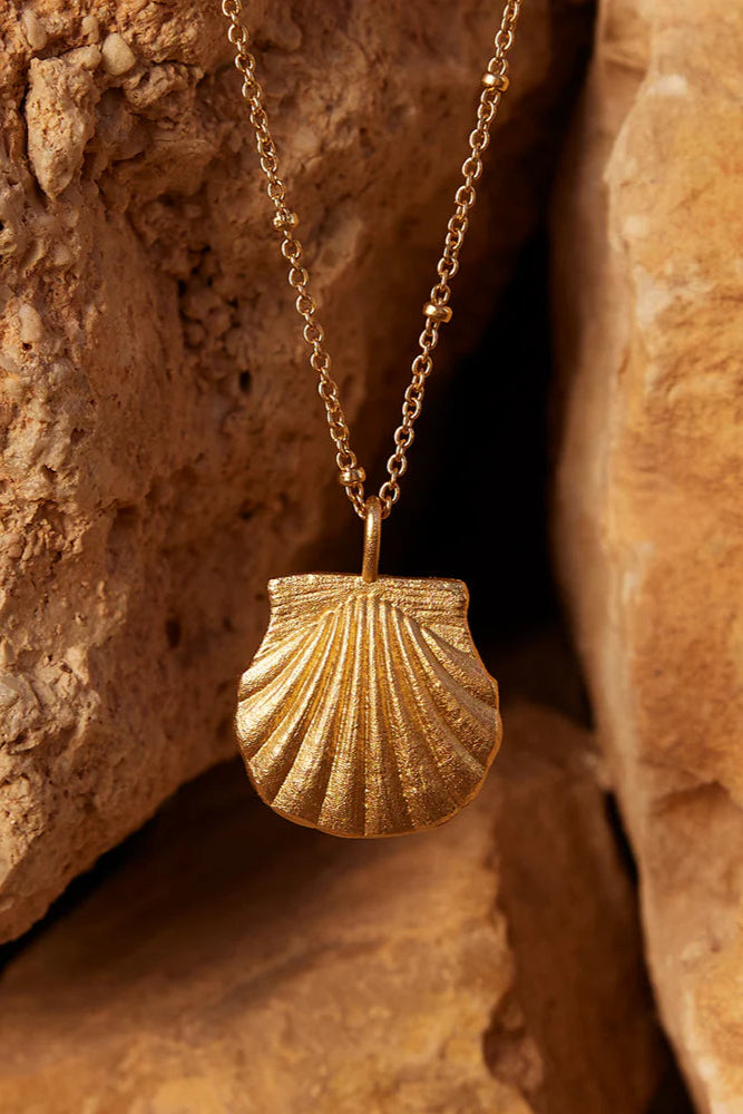 Sea Shell Necklace
