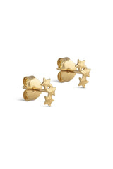 Organic Star Studs in Gold