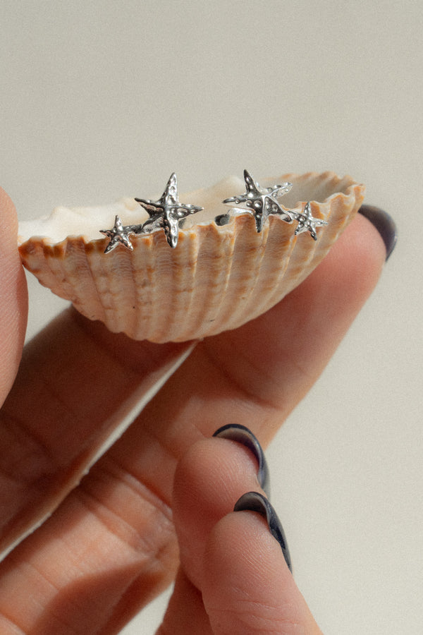 Starfish Studs in Silver