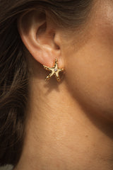 Hammered Starfish Earrings in Golden Haze