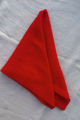 Cashmere Scarf in Red